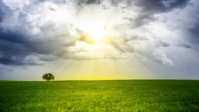 tumblr_npaaqzGNay1rz1st5o1_1280