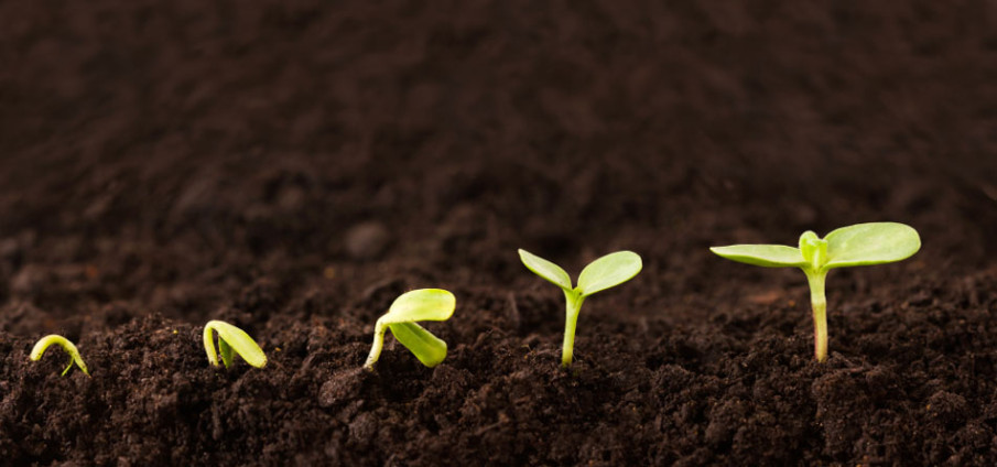 continue-mtf-growth-950