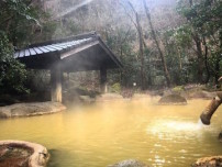 24891fad6706a-bf7c-4524-aec0-68299a10e136_l