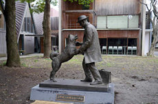 hachiko_ueno_03
