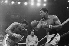 Muhammad Ali Punching Joe Frazier