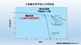 スクリーンショット (77)
